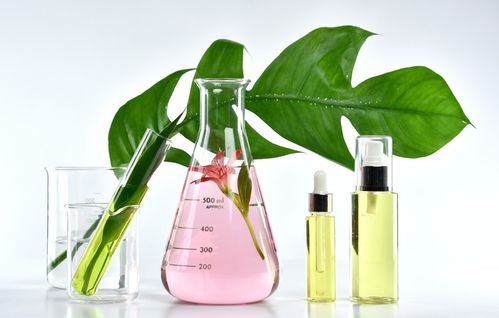 植物提取物護膚的迷霧與真相 破解研發(fā)中的常見誤解